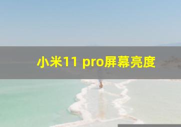 小米11 pro屏幕亮度